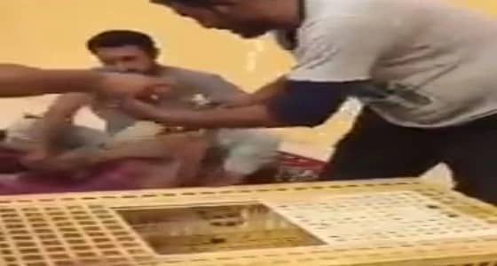 بالفيديو .. شباب يصطادون كمية كبيرة من " الضبان " خلال 24 ساعة