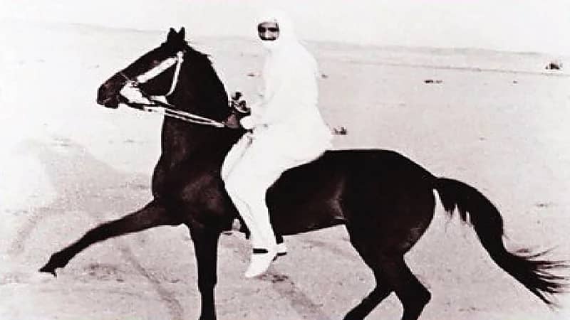 صورة نادرة للملك سلمان وهو يمارس هواية الفروسية
