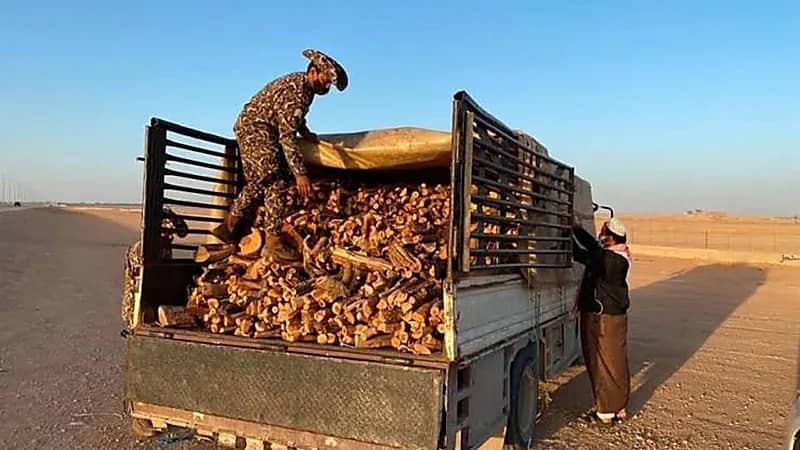 ضبط مخالفين لنظام البيئة لقطعهم الأشجار وتحويلها إلى فحم في جدة