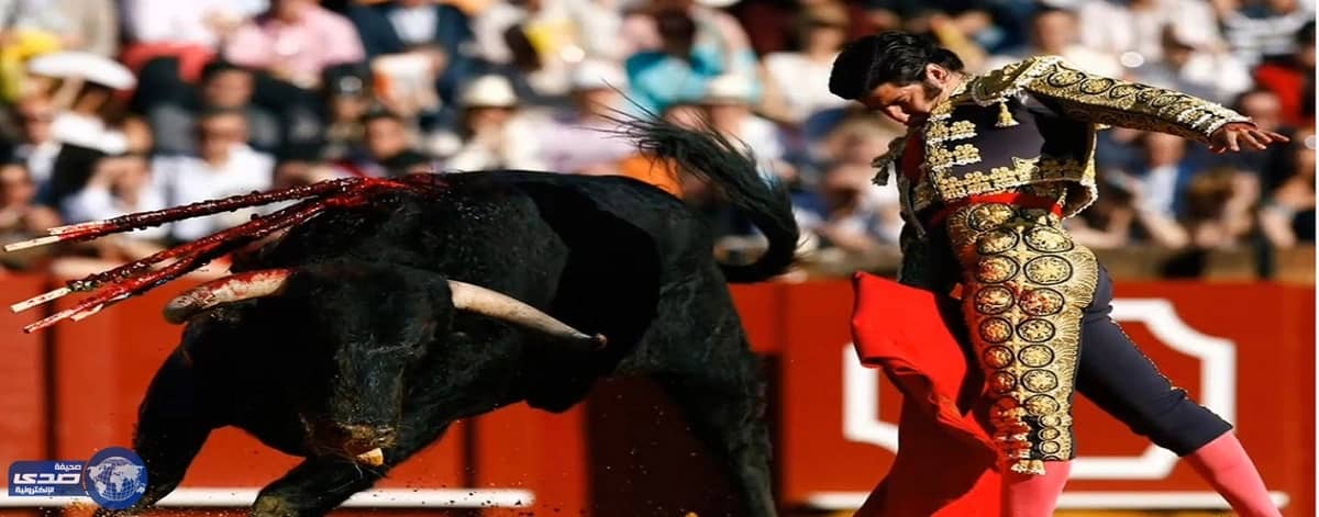 بالفيديو.. ثور عملاق يمزق كبد متسابق