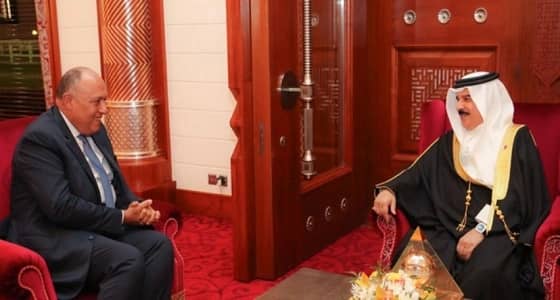 الخارجية المصرية: متمسكون بالمطالب الـ13 المقدمة لقطر