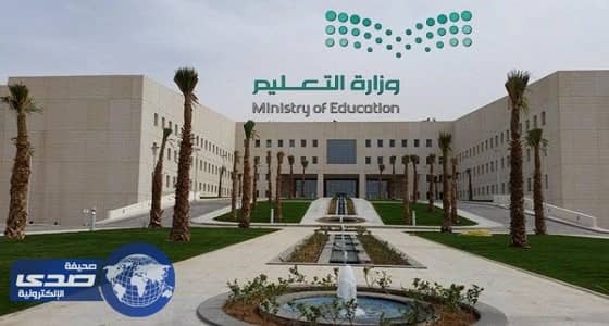 بالفيديو.. أسيران حوثيان يقعان بيد مرابطي الحد الجنوبي