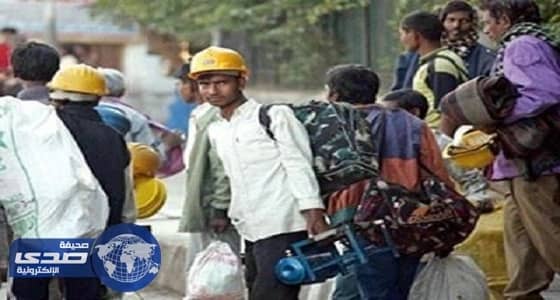 السفارة الهندية بالرياض تكشف أعداد المستفدين من «وطن بلا مخالف»