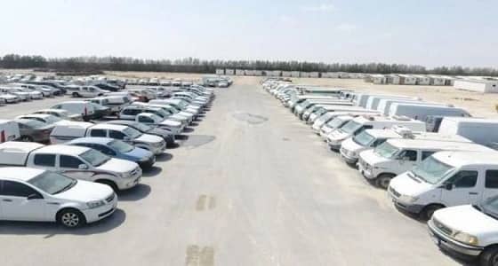 بالفيديو.. تفاصيل فعاليات مزاد " معن الصانع " الأول بالمنطقة الشرقية