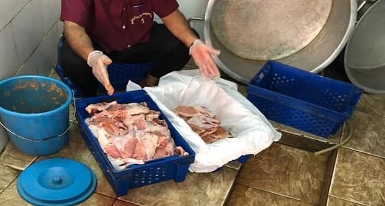 بالصور.. ضبط 257 مخالفة صحية في 300 مرفق تجاري بالطائف