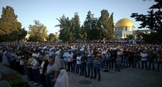 متنكرا في زي فتاة.. طفل فلسطيني يحاول الصلاة في الأقصى