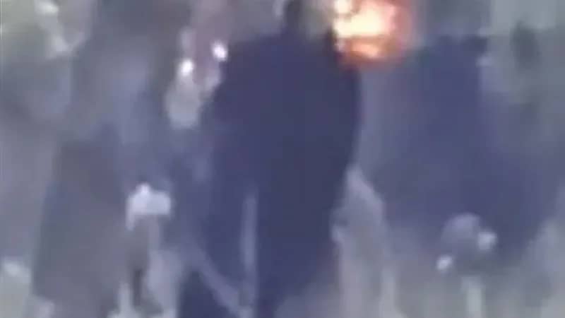 وحش أسود عملاق يثير الذعر بأمريكا