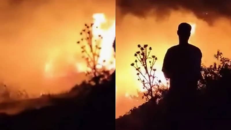 حرائق واسعة تجتاح الجبل الأخضر بليبيا وتقترب من المناطق السكنية .. فيديو