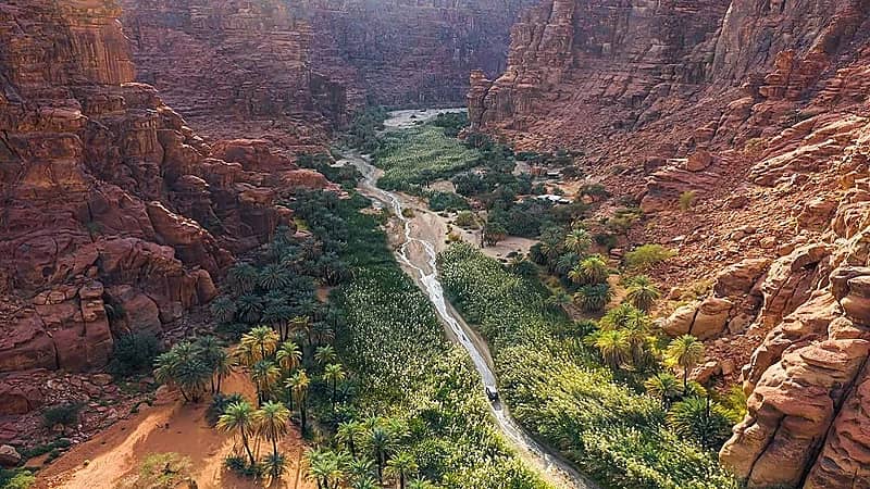 ضبط شخص ارتكب مخالفة صيد الوعل البري بمحمية الأمير محمد بن سلمان الملكية