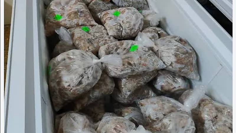 ضبط عمالة تحضّر الوجبات الرمضانية داخل دورات المياه في "أم السلم"