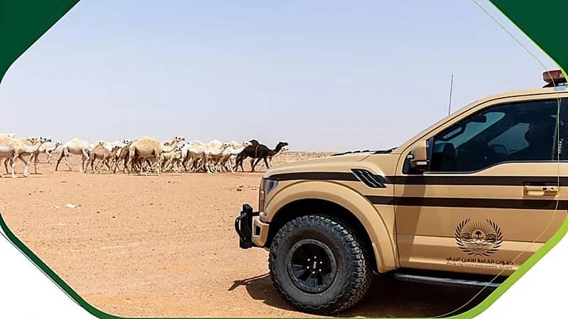 ضبط 29 مخالفًا لنظام البيئة لارتكابهم مخالفات رعي