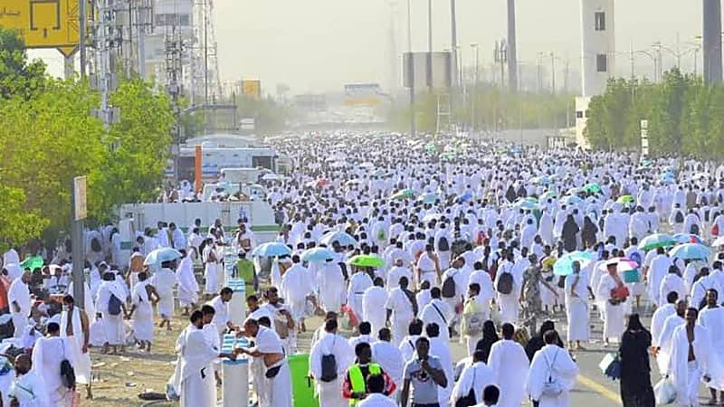مصر:  وزير الأوقاف يعاقب عدد من الأئمة الكبار
