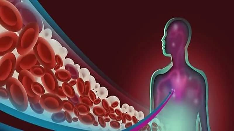 الفرق بين الدهون الثلاثية والكوليسترول