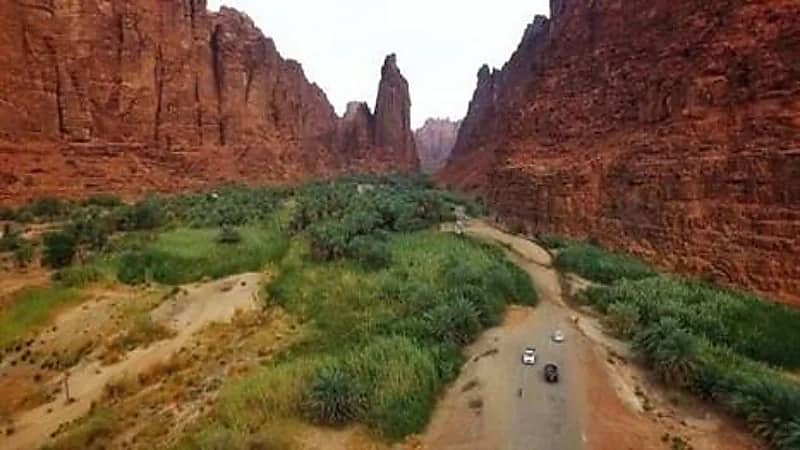 ضبط 3 مواطنين ارتكبوا مخالفات صيد في محمية الملك سلمان