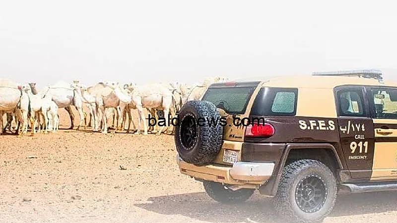 الأمن البيئي يضبط 80 مخالفًا لنظام البيئة