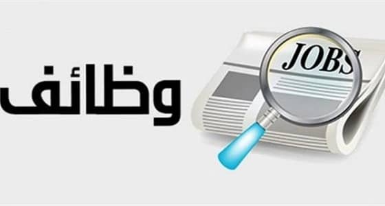 وظائف شاغرة بشركة مقاولات في جازان