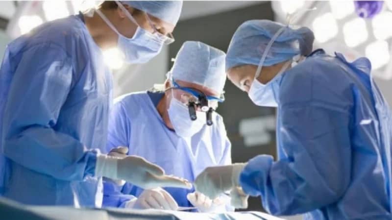 فيصل التخصصي توضح الأمراض التي يمكن علاجها عبر زراعة نخاع العظم والخلايا الجذعية