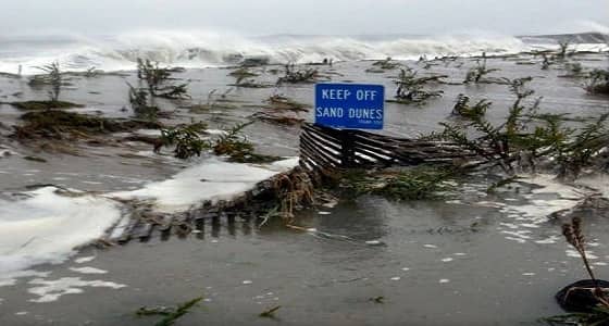 مساعدات إنسانية نيوزلندية إلى " تونجا " بعد تعرضها لإعصار جيتا