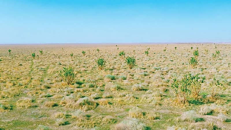 ضبط مواطنًا مخالفًا لنظام البيئة بمحمية الملك عبدالعزيز الملكية