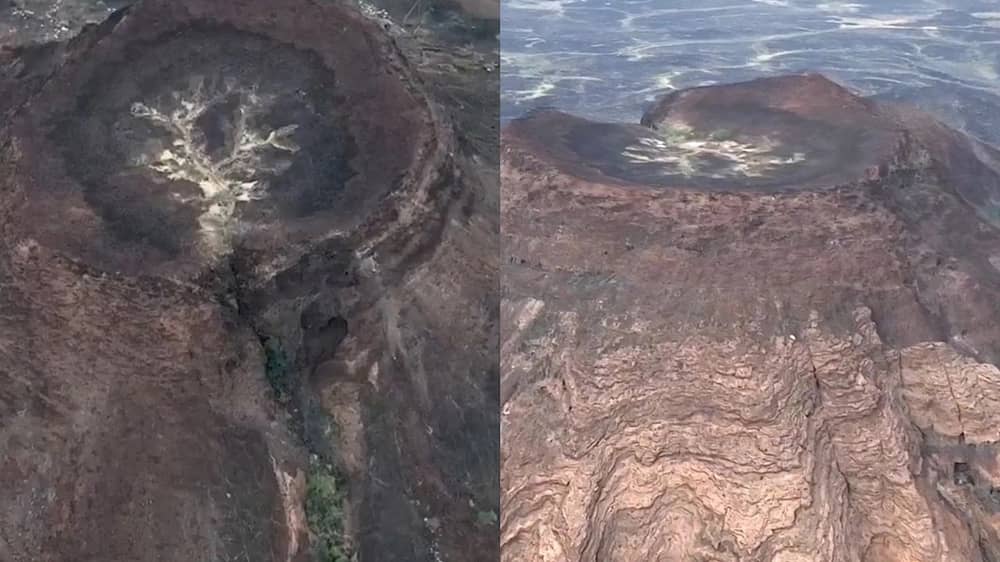 7d337af7-de30-494e-ae0c-4301fea53c64 (1).jpg