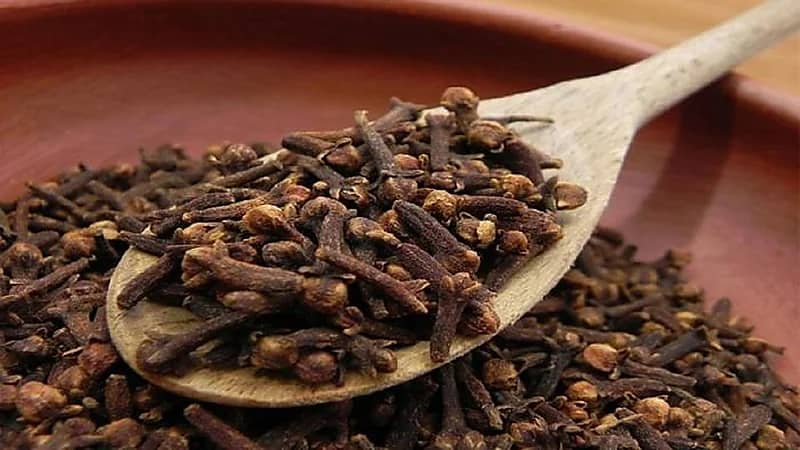 مضغ القرنفل صباحًا ينعش الفم ويقلل الغثيان