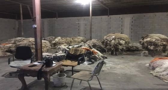 القبض على عمالة مخالفة بمستودعين لدبغ الجلود وحجز 5 سيارات بالرياض