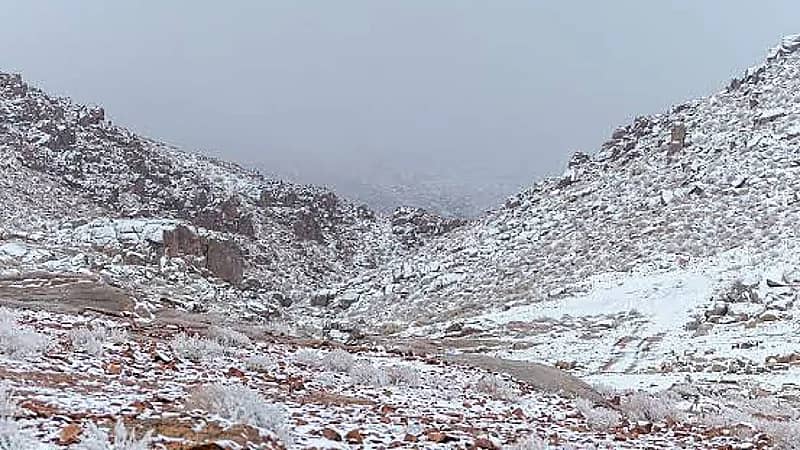 الحصيني: طريف تسجل أقل درجة حرارة بـ 8 والرياض 12 درجة مئوية