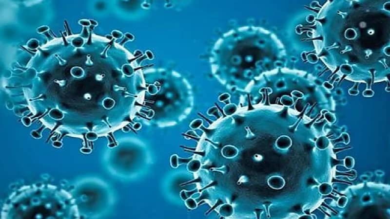 اكتشاف تقنية جديدة تقلل  خطر وفاة مرضى كورونا إلى النصف