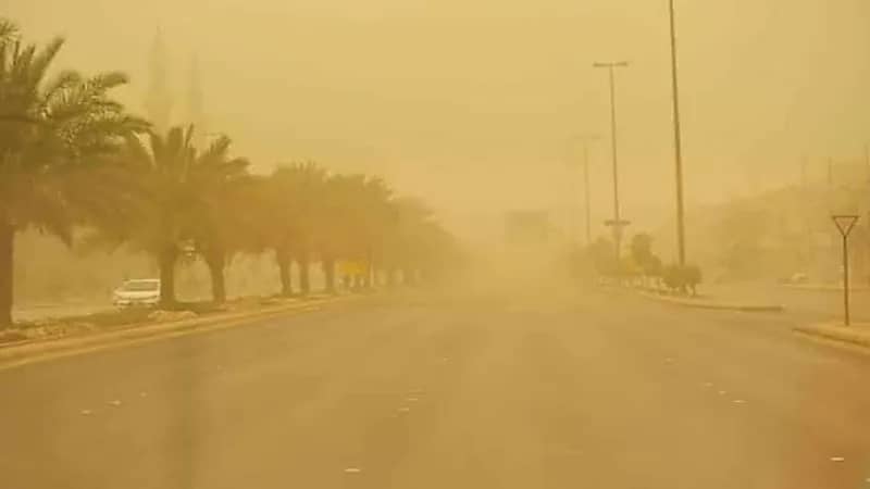 نصائح لتجنب الإصابة بحساسية الغبار