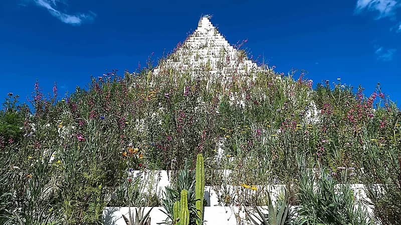 مهرجان ديزيرت إكس أعمال عملاقة في صحراء كاليفورنيا