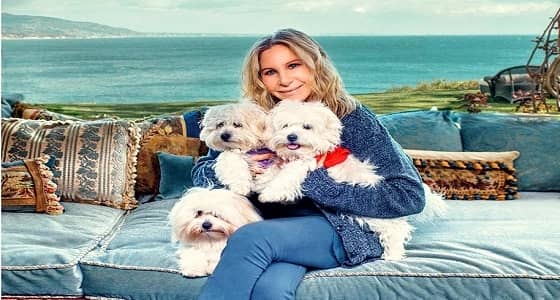 فنانة شهيرة تستنسخ كلبتها الميتة بـ 100 ألف دولار