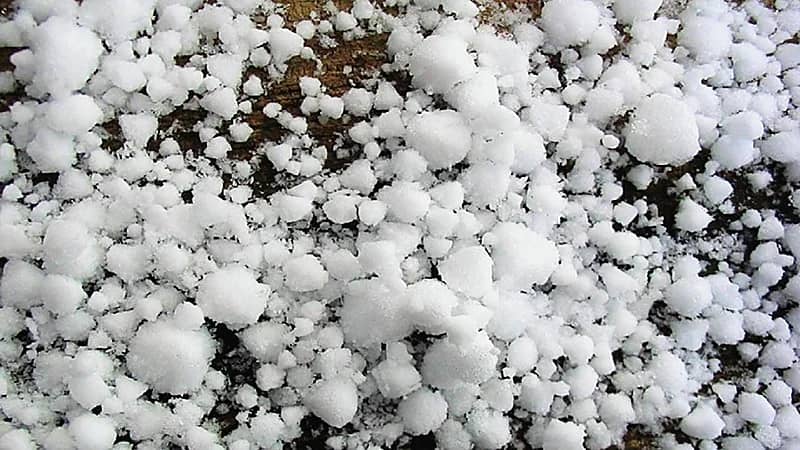 فيديو..البرد ترسم لوحة خلابة في الطائف