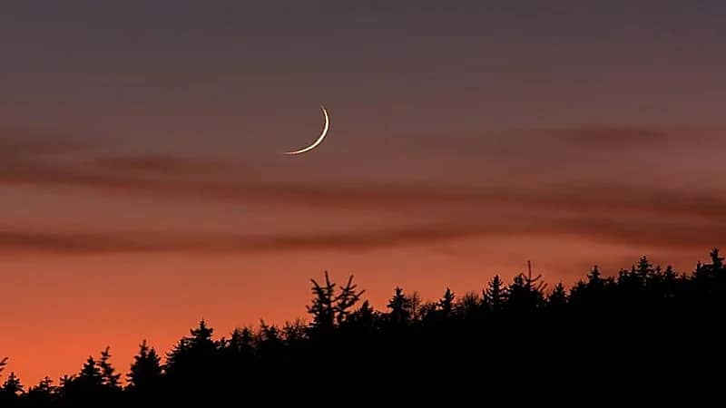 الجمعة 31 يناير غرة شهر شعبان فلكيًا