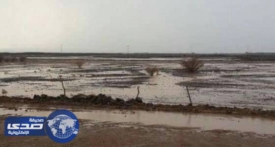 تحذير من أمطار رعدية ورياح نشطة تحد من الرؤية بالمدينة المنورة