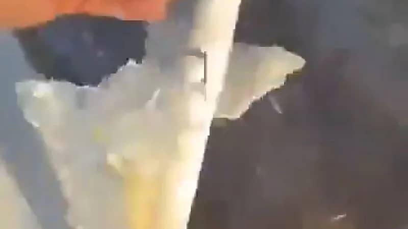 تجمد المياه في حائل .. فيديو