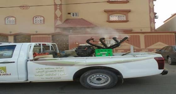 بالصور.. " أمانة نجران " تواصل أعمالها في مكافحة التلوث والحشرات