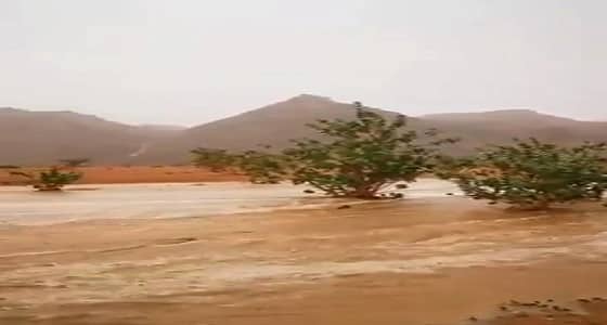 بالفيديو.. سريان السيول جنوب شرق تثليث