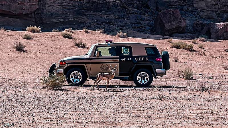 ضبط 35 مخالفًا لنظام البيئة في عدد من مناطق المملكة خلال أسبوع.. فيديو