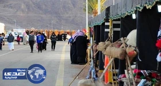 ضبط 21 مخالفة أثناء 95جولة رقابية لسياحة حائل