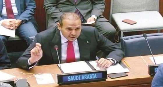 المملكة تعرب عن قلقها إزاء التقدم المحدود في معالجة أزمة مسلمي الروهينجا