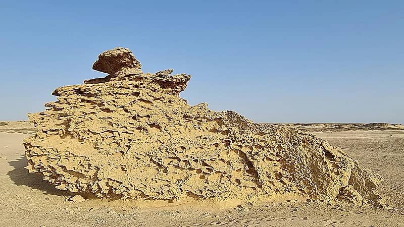 بالصور .. اكتشاف صخرة عملاقة من الشعب المرجانية يعود تاريخها لـ 120 ألف سنة