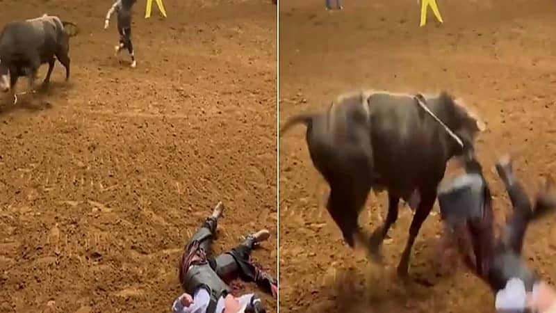 شاهد.. ثور هائج يهاجم شاب بطريقة مروعة