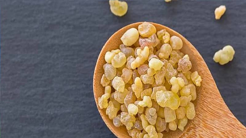 بالفيديو.. مختص: استخدام "المرة" بكثرة قد يؤدي لالتهاب الكلى