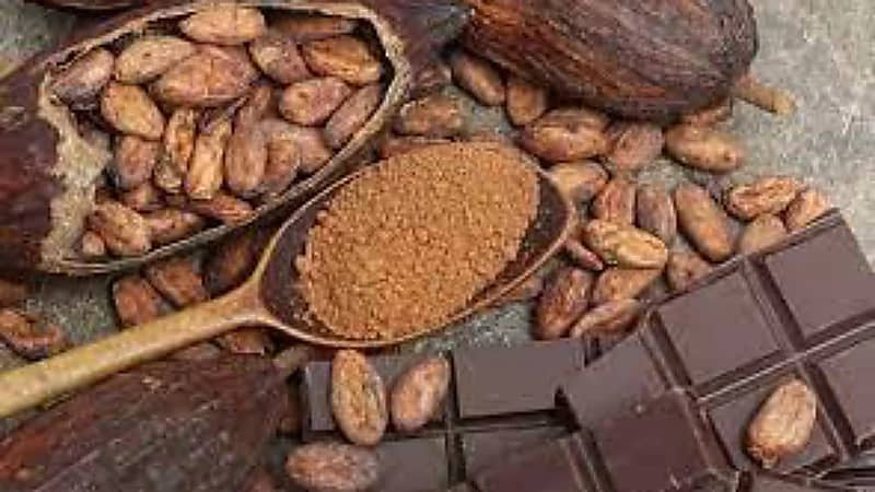 دراسة: الكاكو يحمي من التدهور المعرفي