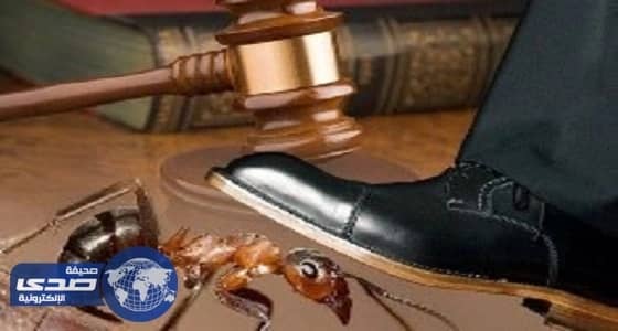 بالصور.. بلدية غرب الدمام تصادر بضائع الباعة الجائلين من الطرقات