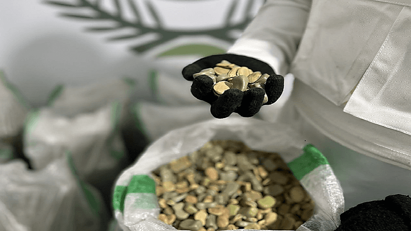 بالفيديو.. إحباط محاولة تهريب 403 ألف قرص إمفيتامين بجدة