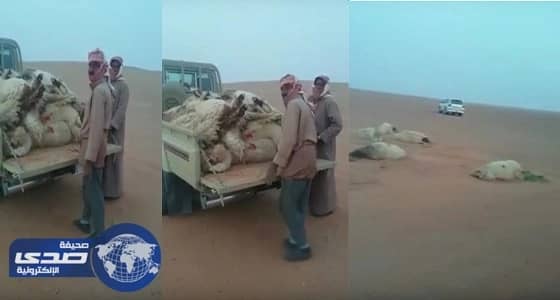 بالفيديو.. المعيوف معلقا على تغييرات رازفان: أثرت على أداء الفريق