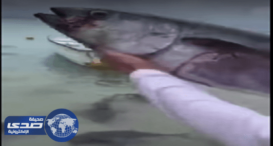 بالفيديو.. أسماك بيرانا متوحشة تحول محيط للون الدم