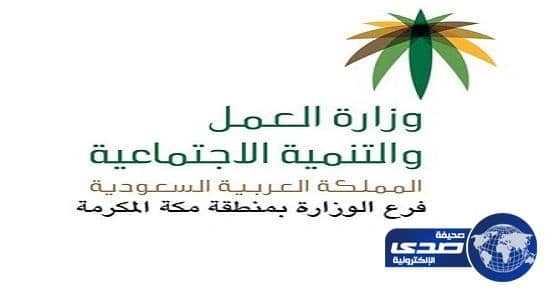 وزارة العمل يقدم برامج تنموية توعوية تثقيفية تتماشى مع رؤية ٢٠٣٠