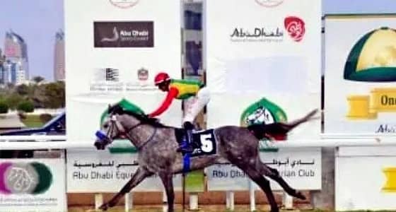 بالفيديو..حصان السلطان قابوس يخطف الأضواء بسرعته الجنونية